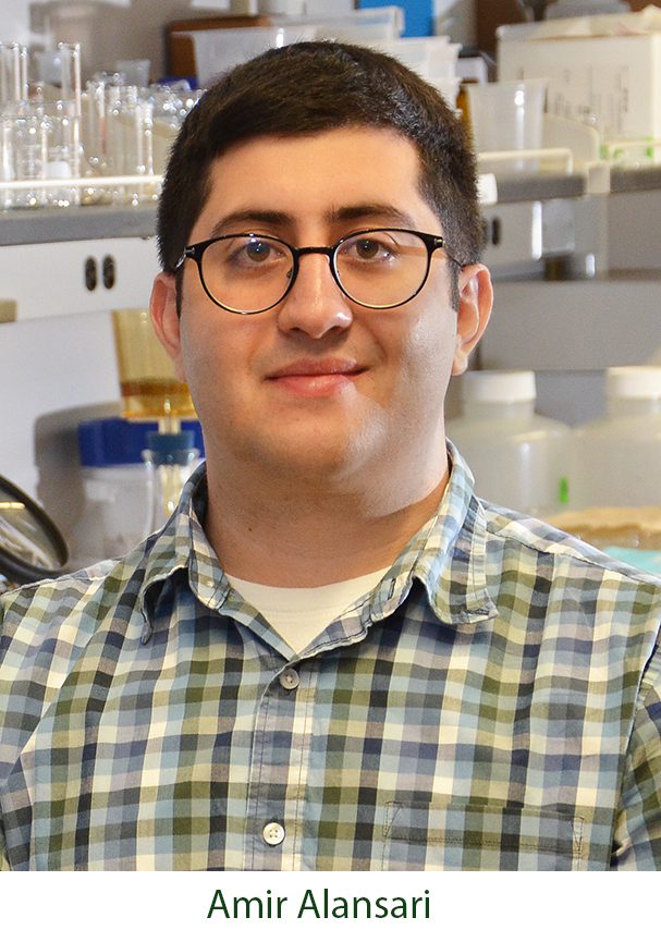 Amir Alansari