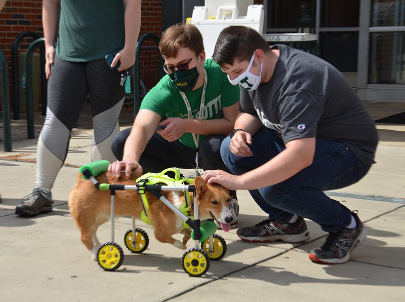 Two engineering students pet Boots the dog