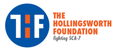 Hollingsworth Foundation logo