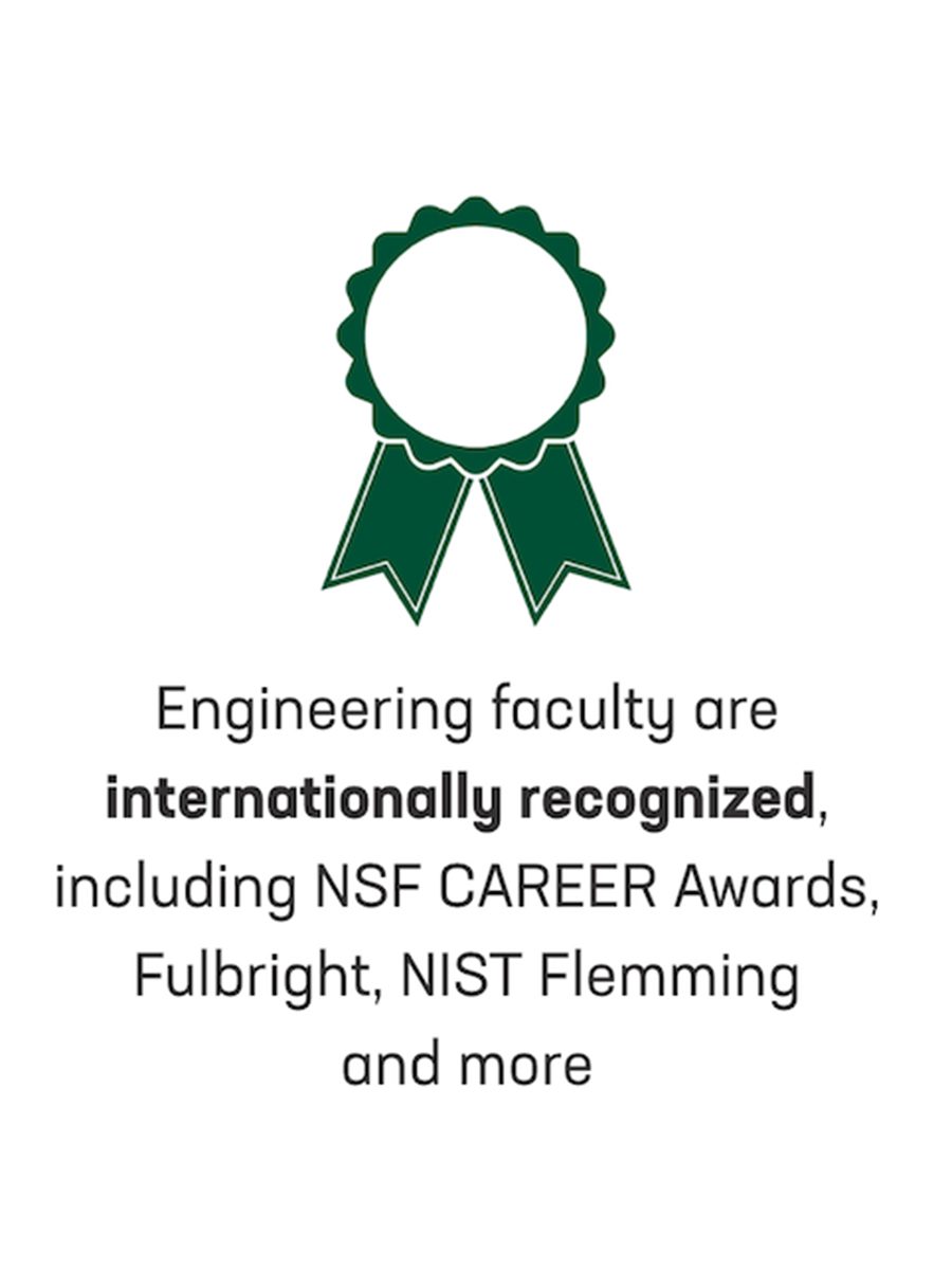 Engineering faculty are internationally recognized